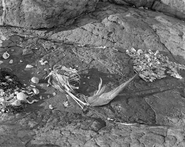 Mar 2014 Toyo TMY2 B PyrocatHDstand 2