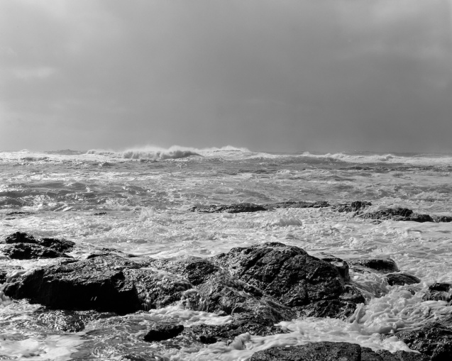 April 2014 Toyo Fomopan100 Xtol(1.2)+Adonal(1.200) 6