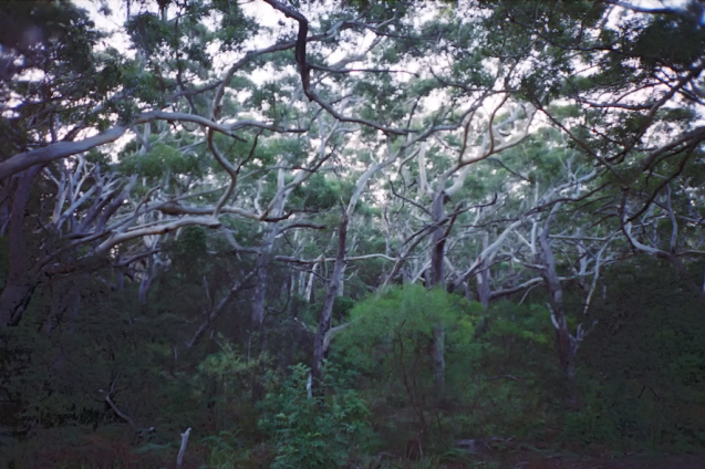 March 2014 LCA Superia100  28