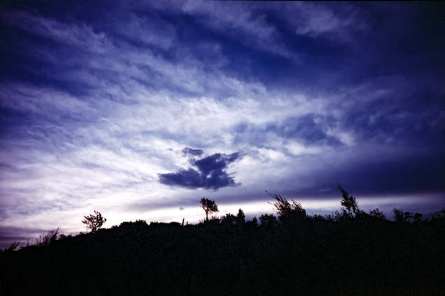 March 2014 LCA Superia100  29