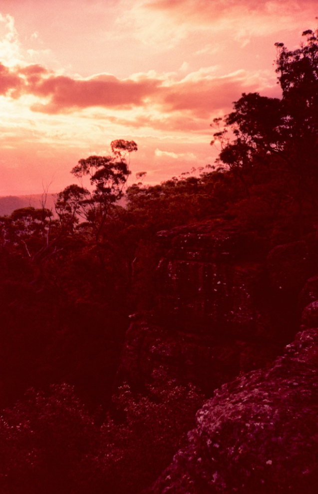 June 2014 LC-A Velvia50 TetanalC41 25