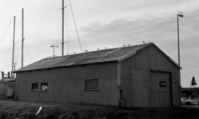 July 2014 HolgaWPC Pyrocat(stand) 3