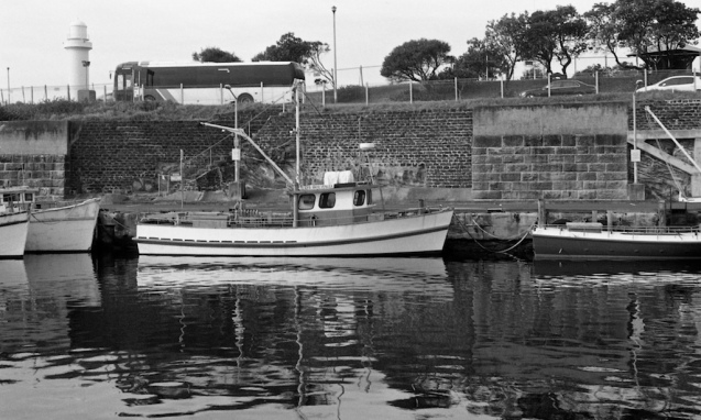 July 2014 HolgaWPC Pyrocat(stand) 5