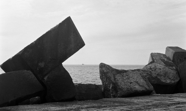 July 2014 HolgaWPC Pyrocat(stand) 8