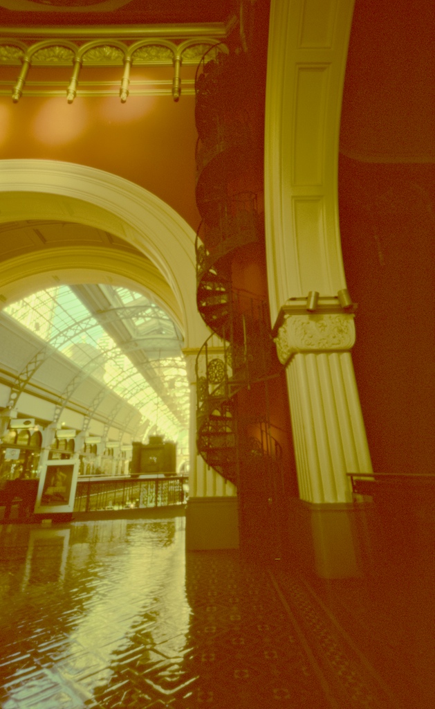 August 2014 HolgaWPC Velvia50 Xpro 3