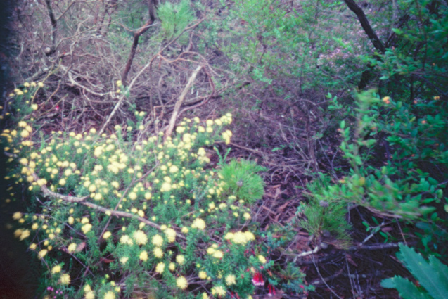 Sept 2014 Holga120WPC Ektar100 TetanalC41 8