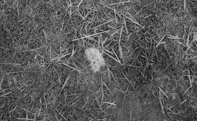 Oct 2014 OM2 Extreme100 RO9(1.100) stand 10