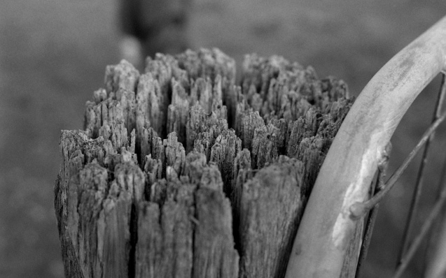 Oct 2014 OM2 Extreme100 RO9(1.100) stand 12