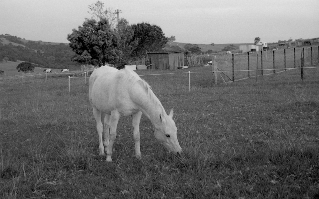 Oct 2014 OM2 Extreme100 RO9(1.100) stand 17