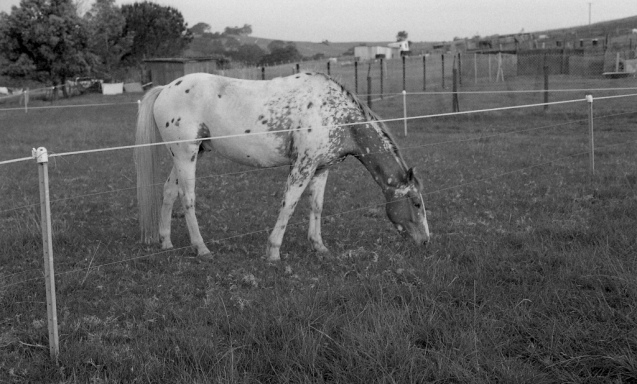 Oct 2014 OM2 Extreme100 RO9(1.100) stand 18