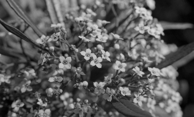 Oct 2014 OM2 Extreme100 RO9(1.100) stand 24