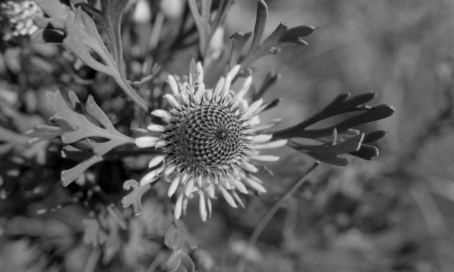 Oct 2014 OM2 Extreme100 RO9(1.100) stand 25