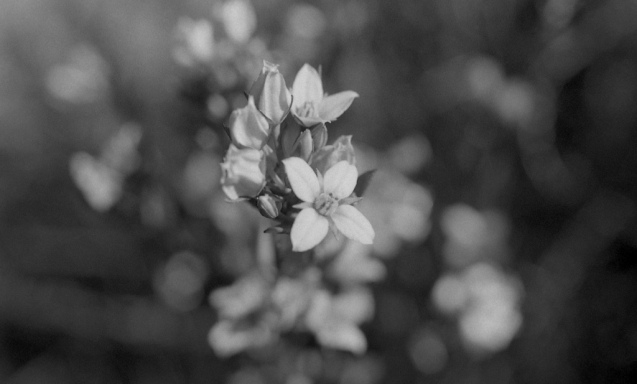 Oct 2014 OM2 Extreme100 RO9(1.100) stand 26