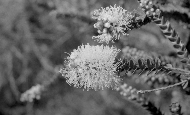 Oct 2014 OM2 Extreme100 RO9(1.100) stand 32