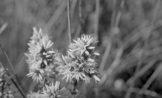 Oct 2014 OM2 Extreme100 RO9(1.100) stand 33