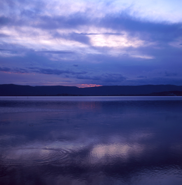 Ripples - Lake Illawarra