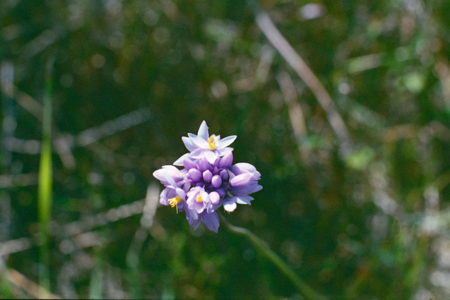 Oct 2014 OM2 Superia400 A 31