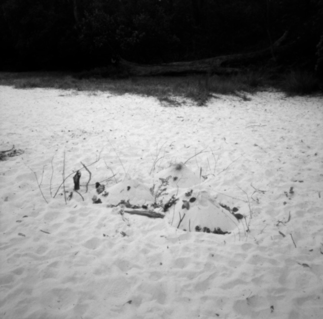 Dec 2014 Terrapin TMax100 Adonal(1.100)stand 7