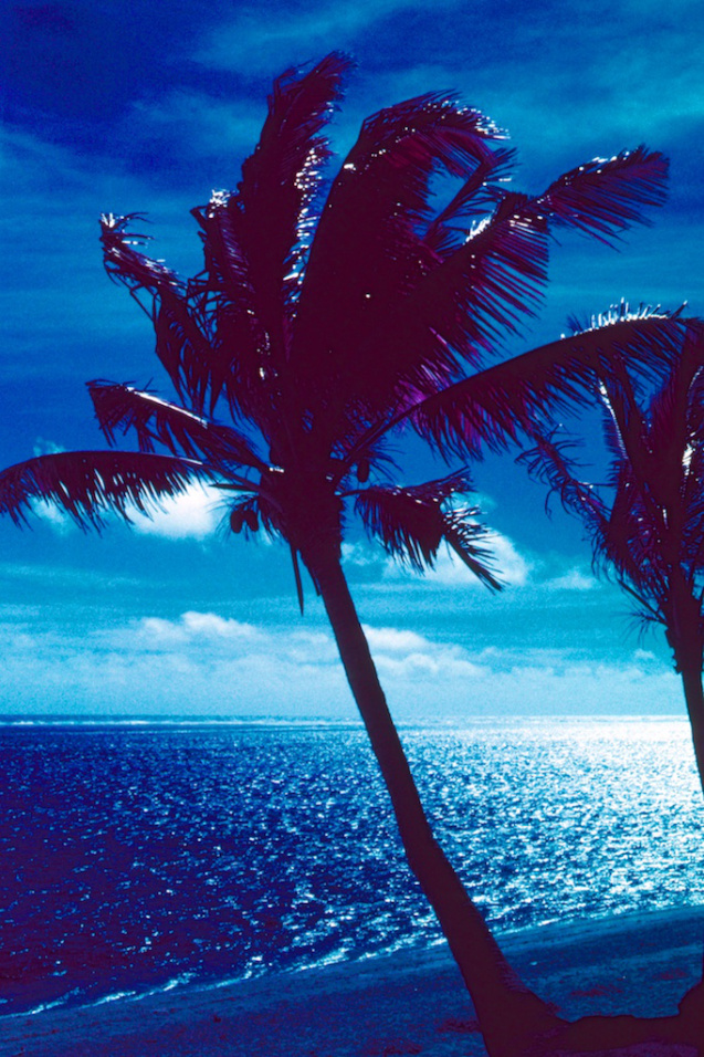 Nov 2014 Fiji OM2 Aerochrome TetanalE6 12