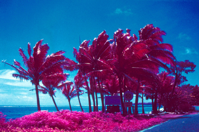 Nov 2014 Fiji OM2 Aerochrome TetanalE6 2