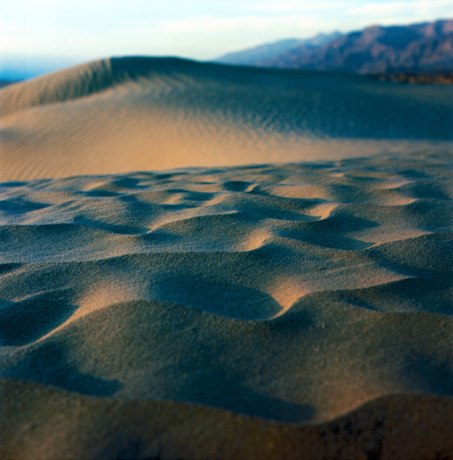 Wavelets - Yashica A, Reala 100