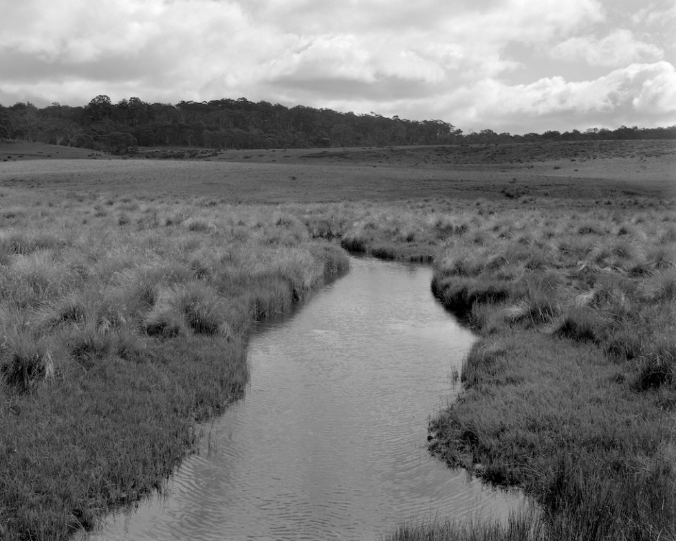 Murrumbidgee - Long Plain