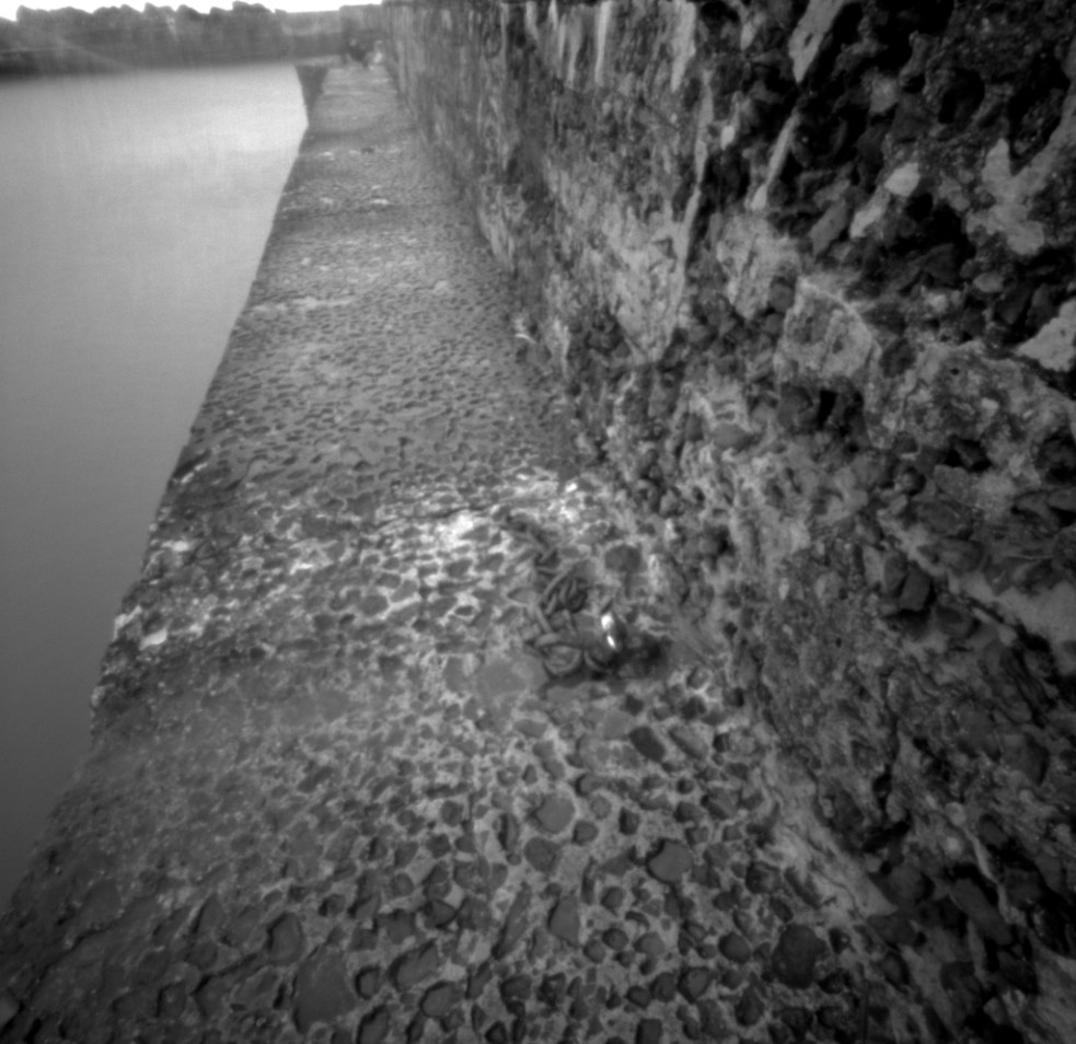 May 2015 Terrapin Adonal1.100 stand 7