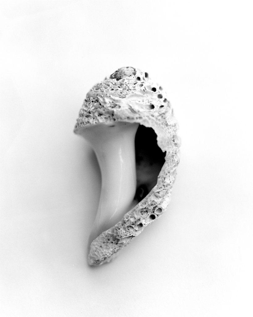 Dec 2015 MonumentBeach 045F1 Fomapan100 Xtol(1.3)+paRodinal(1.160) 13