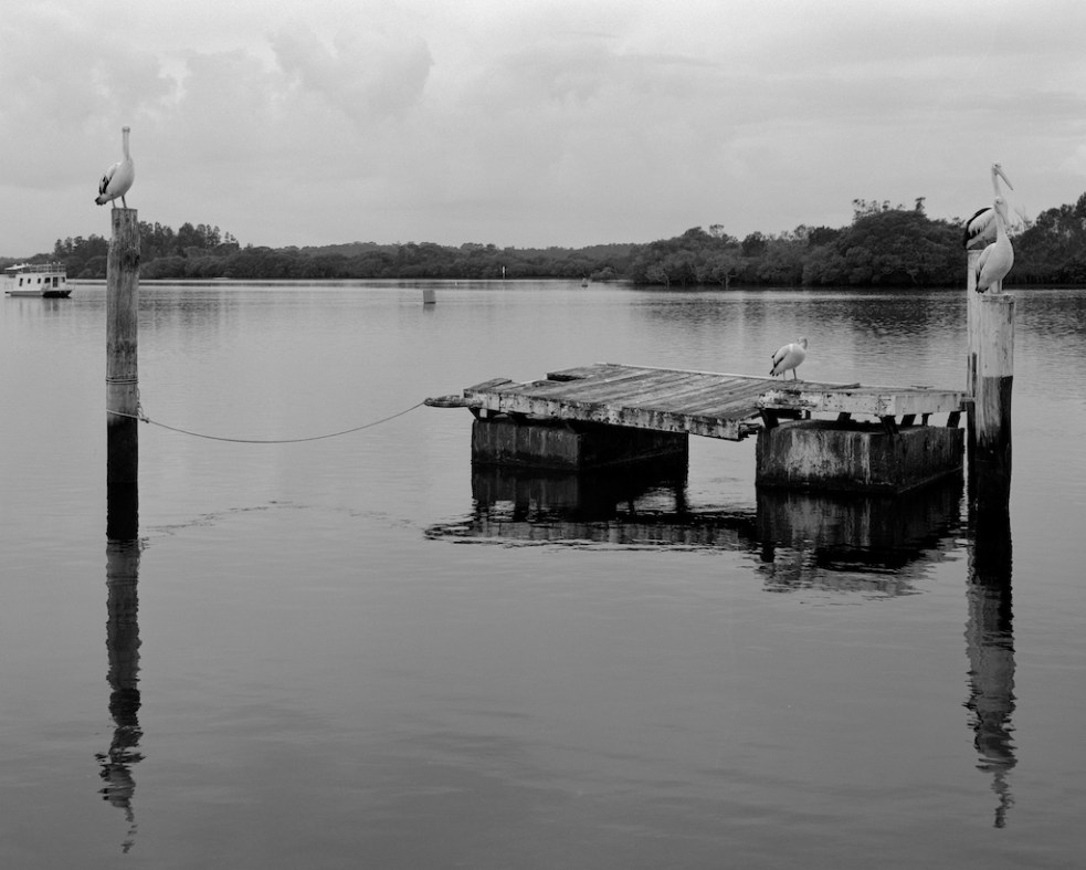 Dec 2015 Teagardens 045F1 Fomapan100 Xtol(1.3)+paRodinal(1.160) 5