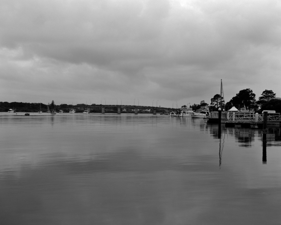 Dec 2015 Teagardens 045F1 Fomapan100 Xtol(1.3)+paRodinal(1.160) 9