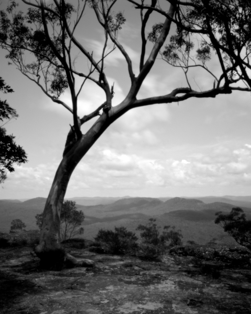 Nov 2015 Bugong 045F1 Shanghai100 Xtol(1.3)+paRodinal(1.160) 2