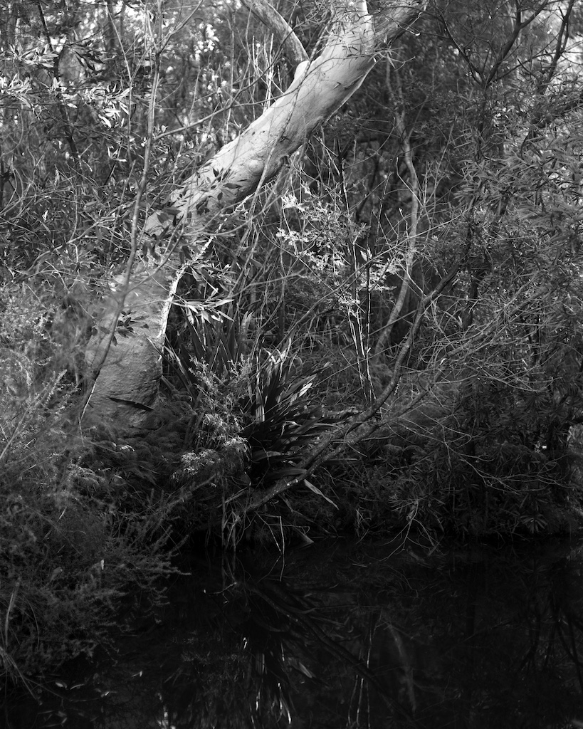 May 2016 NationalFalls 045F1 Delta100 Ro9(1.50) 2