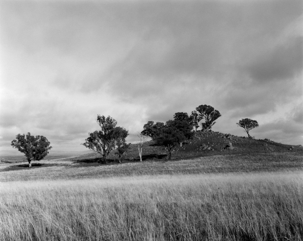 May 2016 Canowindra 045F1 Fomapan100 Xtol(1.3)+RO9(1.160) 5