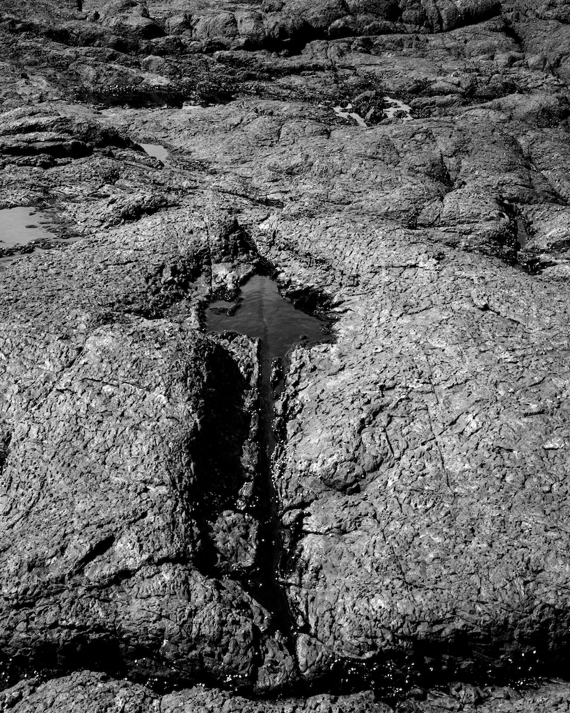 december-2016-basspoint-045f1-shanghai100-pmk1-2-100-2