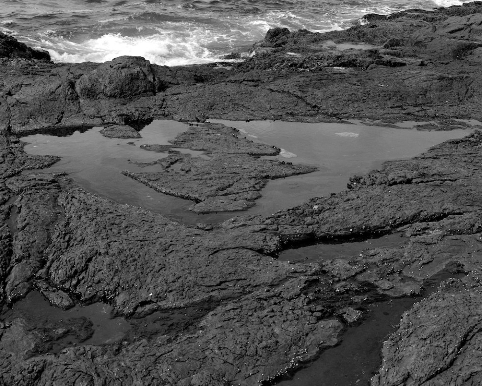 december-2016-basspoint-045f1-shanghai100-pmk1-2-100-4