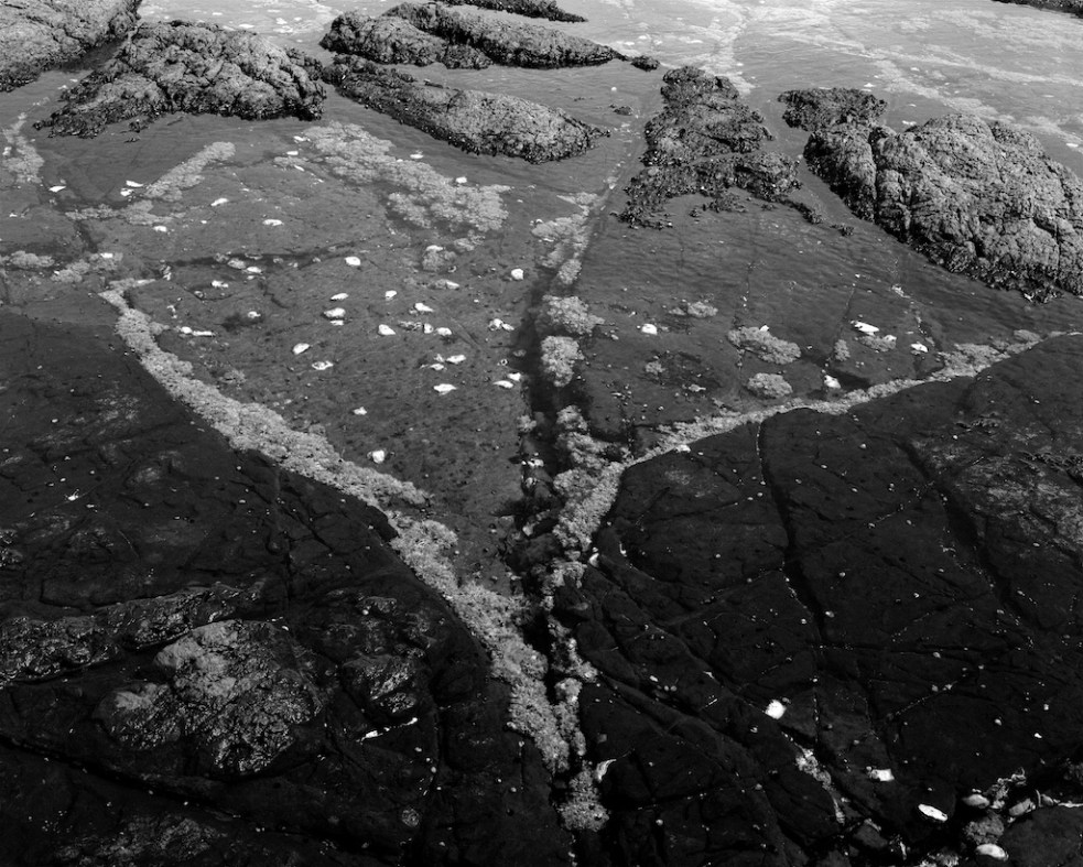 december-2016-basspoint-045f1-shanghai100-pmk1-2-100-5