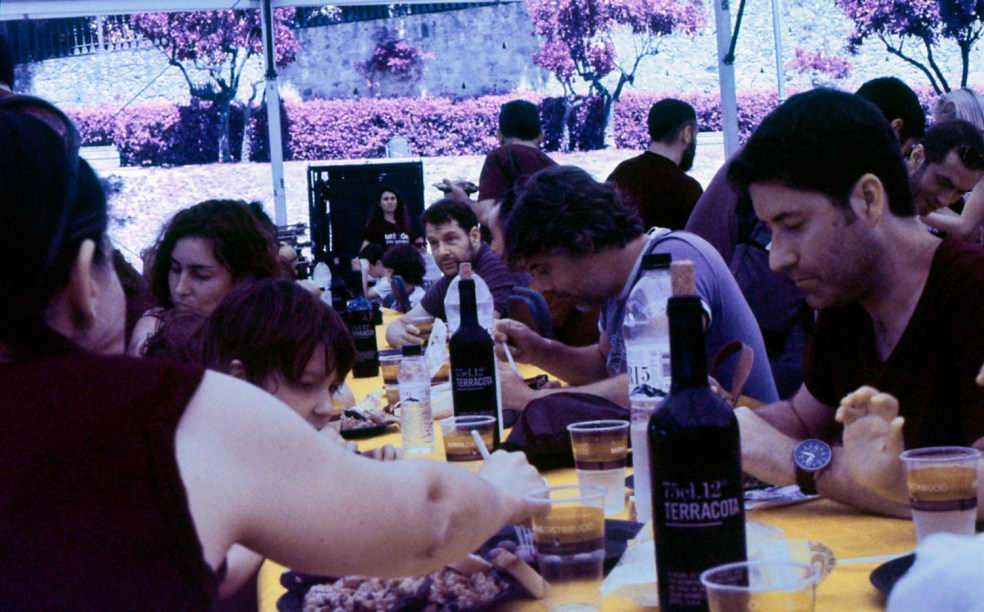 June 2017 RevelaT AerochromeFPP2 19