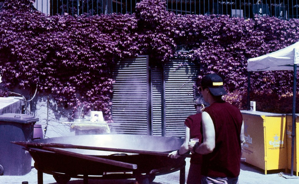 June 2017 RevelaT AerochromeFPP2 24