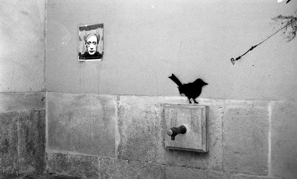 May 2017 BarcelonaB OM2 FP4+ RO9(1.100) 13